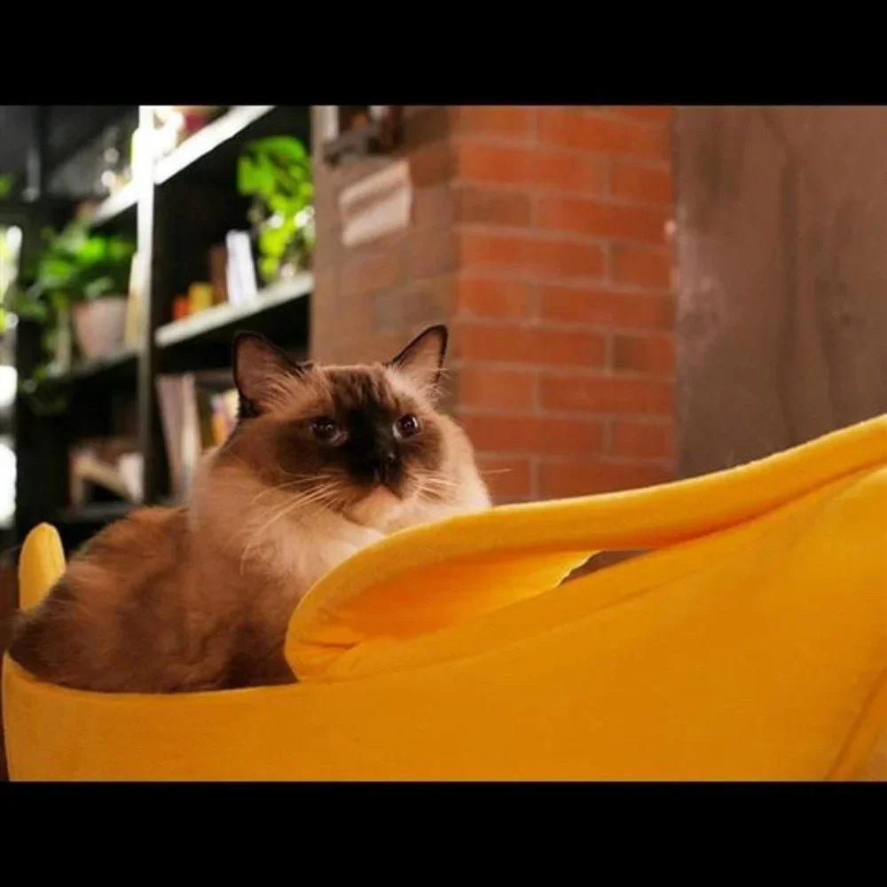 Pet Dog Cat Banana Bed House Pet Boat Dog Cute Cat Snuggle Bed